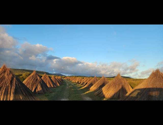 FARM FOR SALE IN STILBAAI RURAL
